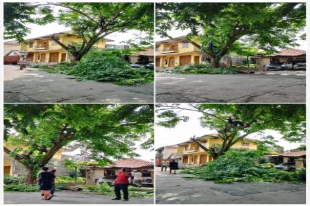 Dinas Lingkungan Hidup Kabupaten Lebak