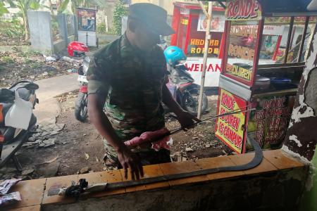 GEREBEK RUMAH KOSONG,BABINSA SITA 