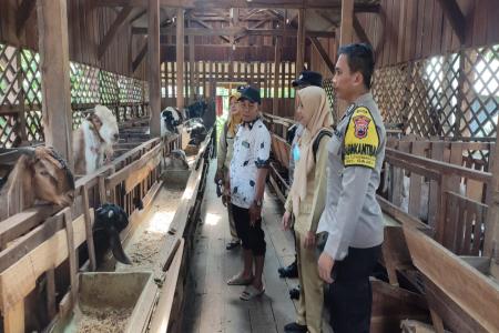 PMK Kembali Marak Polisi Edukasi Peter