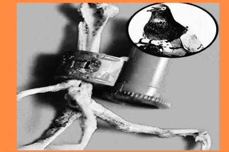 Pesan Terakhir dari Langit Misteri Mer