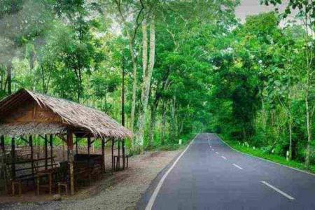 MISTERI ALAS KUBANGKANGKUNG