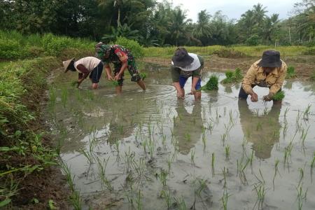 BABINSA SUMBERSIH DAMPINGI POKTAN 