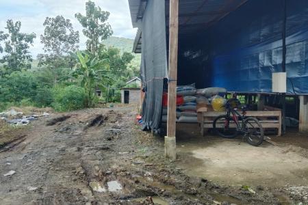 Kandang Ayam Dekat Pemukiman di Trengg